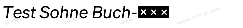 Test Sohne Buch字体转换 Test Sohne Buch字体转换